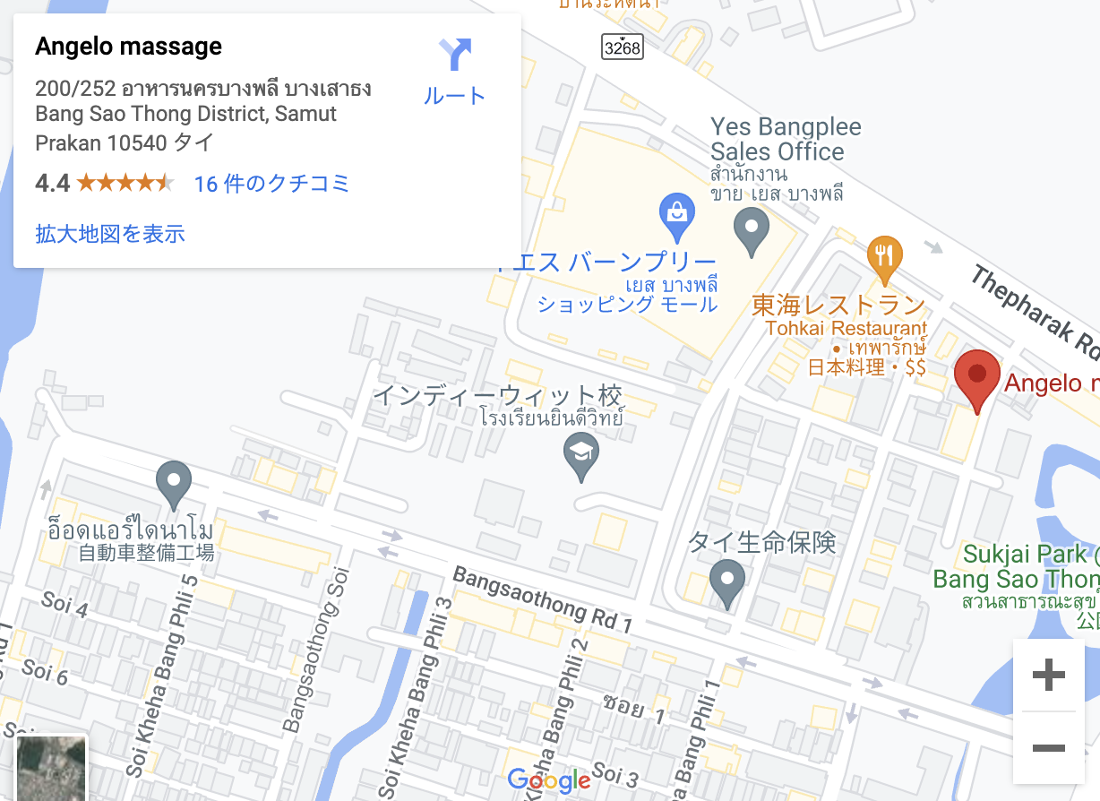 Google Mapを見る